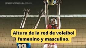 amazon red voleibol