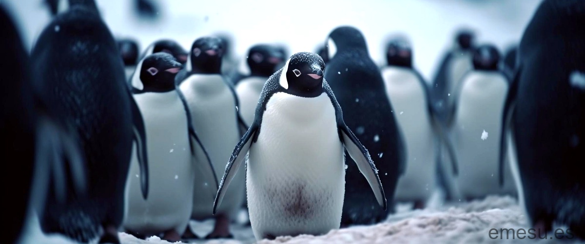 ¿Cuántos pingüinos hay en el mundo en 2023?